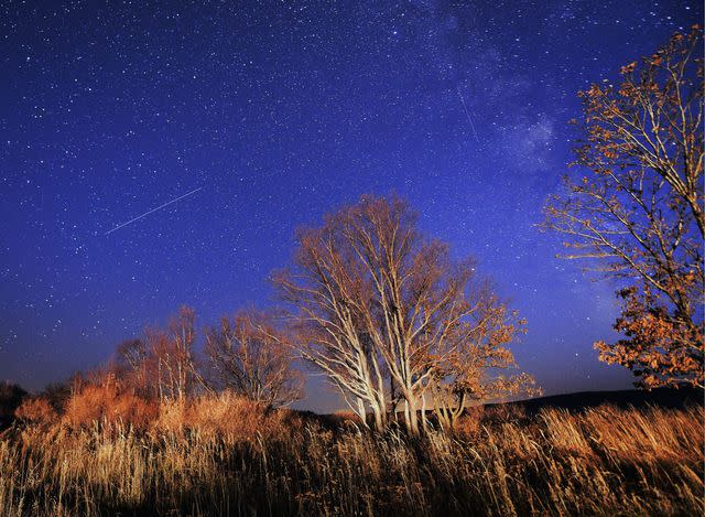 Yuri Smityuk/TASS/Getty The Orionid meteor shower in Russian Far East