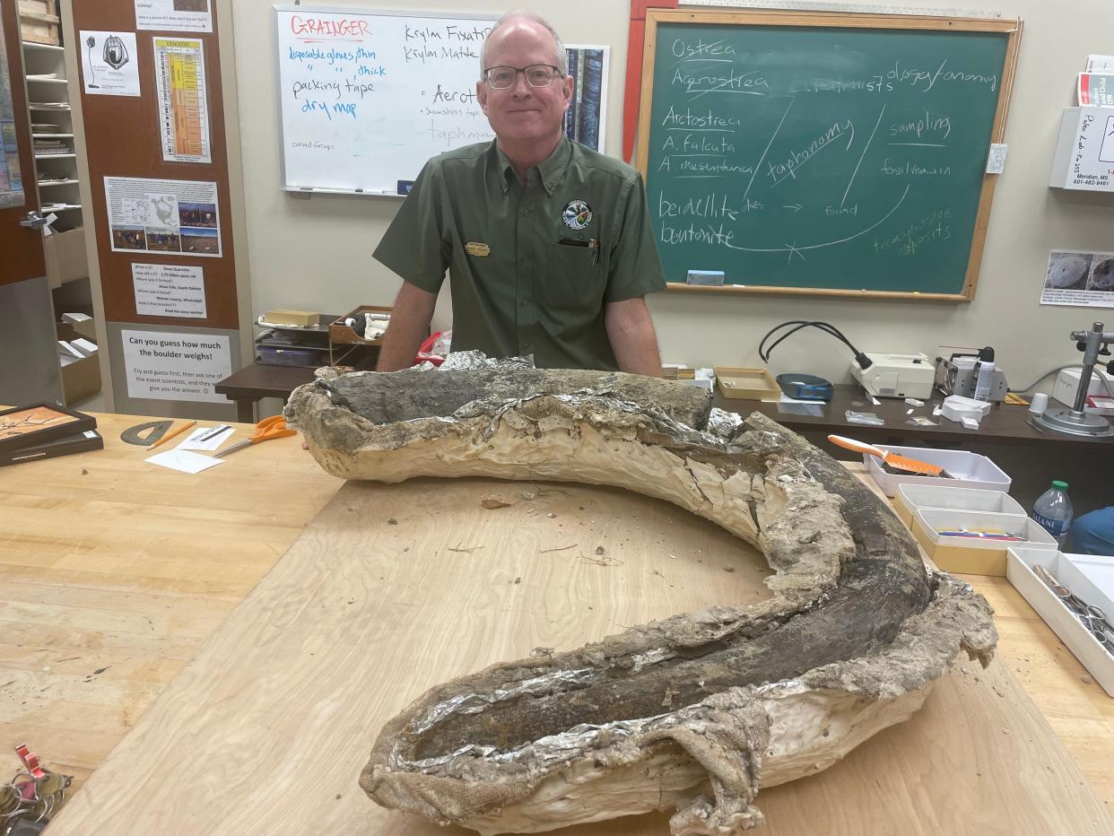 Uma presa de mamute colombiano recentemente encontrada no Mississippi é a primeira a ser oficialmente documentada no estado, disse George Phillips, paleontólogo do Museu de Ciências Naturais do Mississippi.