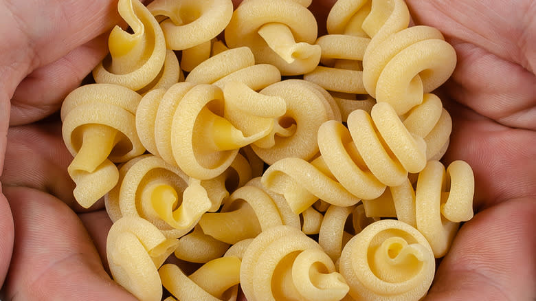 handful of nodi marini pasta