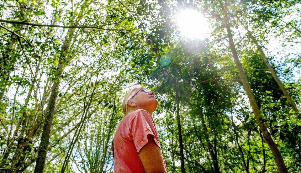 University of Rhode Island plant scientist Heather Faubert inside Albro Woods, a 9-acre forest in Middletown dominated by American beech trees, which are facing a dire threat from a worm-borne disease.