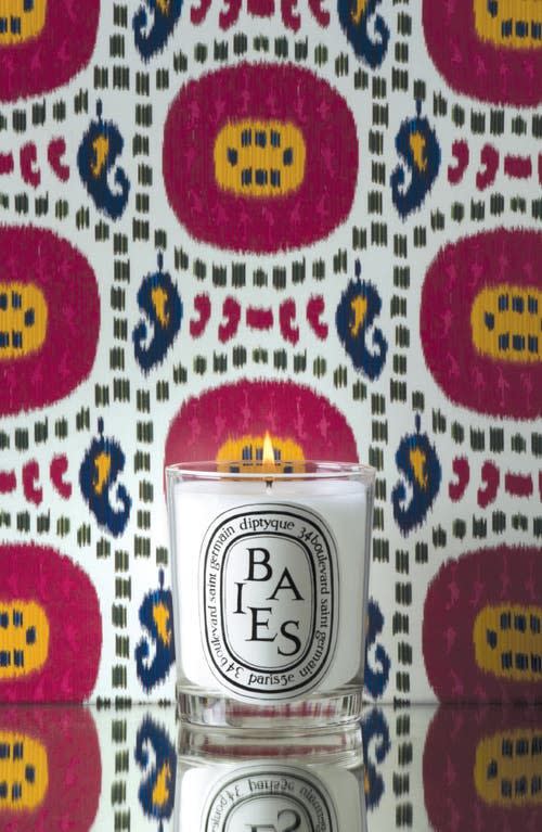 Pomme d'Amour Candle, 6.3 oz.