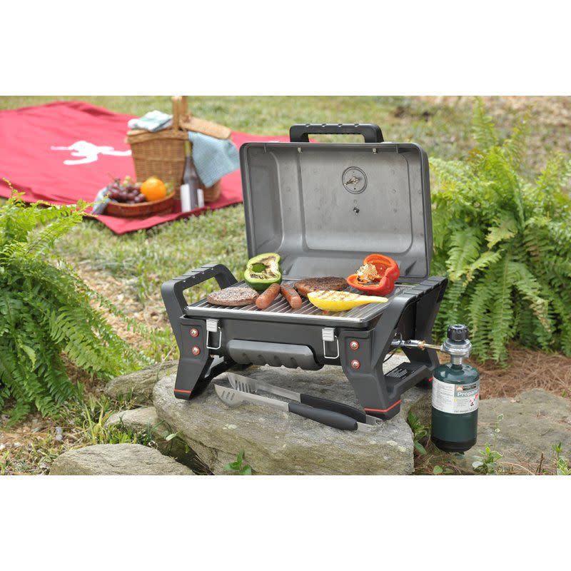 Save on a New Grill or Fire Pit on Sale at Wayfair