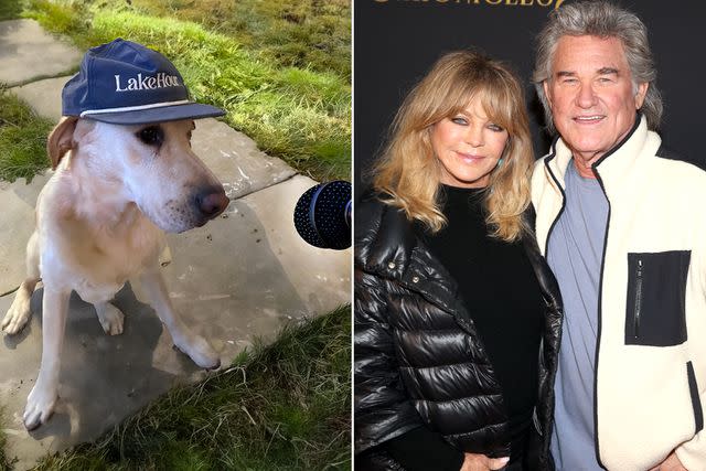 <p>Courtesy of Lake Hour; Jesse Grant/Getty</p> Roy Hawn Russel in Labrador retriever (left) and Roy's pet parents, Goldie Hawn and Kurt Russell (right)