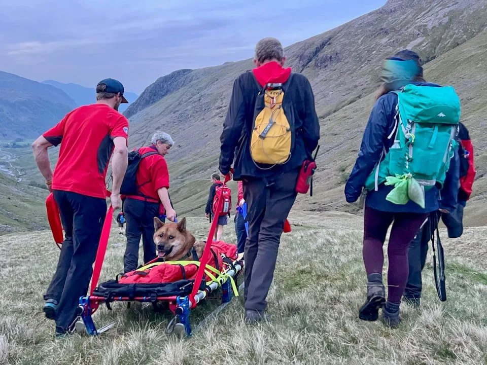 Rocky being pulled along in a sled in the heart of the Lake District (Keswick Mountain Rescue Team)
