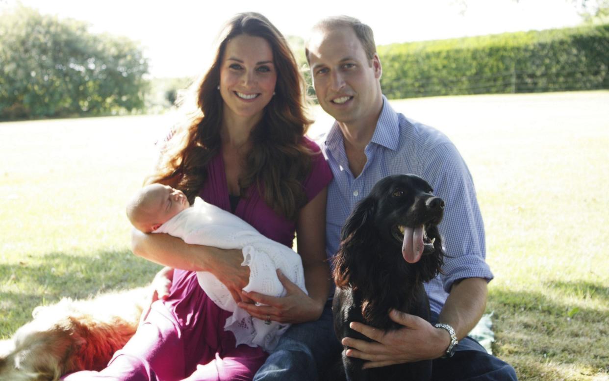 Lupo is seen shortly after the birth of Prince George - Michael Middleton/PA Wire