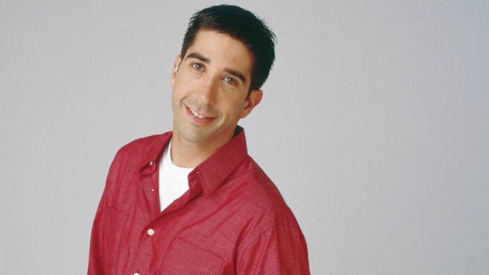 David Schwimmer as Ross Geller in 1995 Friends characters