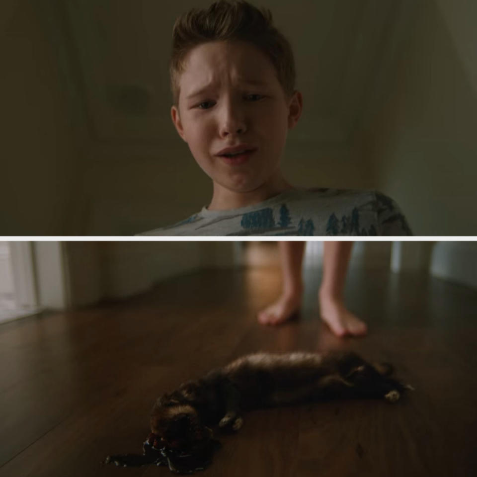 A crying child looking at a dead ferret in "The Watcher"