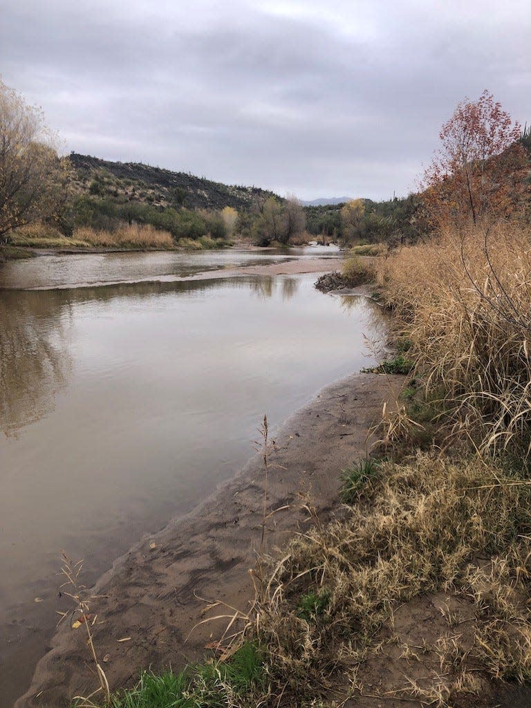 A wide sandy wash at the Mesquite Wash junction.