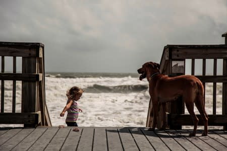 Bea Tyson hangs out with her dog Navy in front of the ocean in Marineland while Hurricane Dorian makes its' way North in St. Augustine