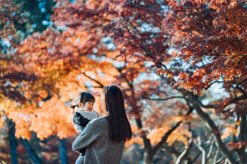 日本紅葉2023｜日本紅葉預測出爐！北日本比往年遲10日或以上，最佳觀賞期東京11.30、大阪12.3、札幌11.8