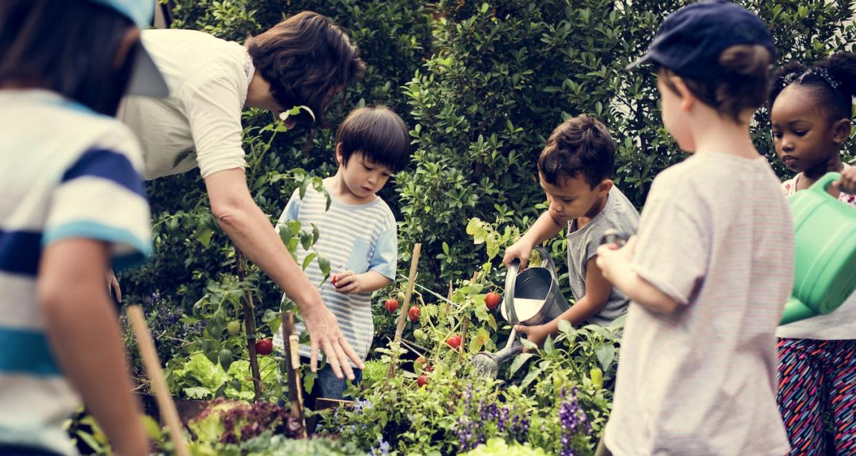 Tactile experiences combined with purposeful talking with children about new real-world exploration helps children learn new words. (Shutterstock)