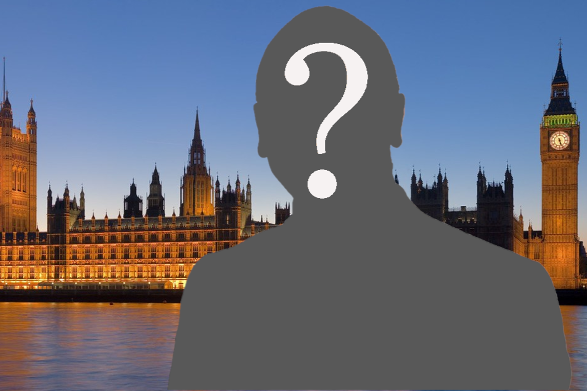 Who tops the Westminster Rizz Ranking 2023? ( )