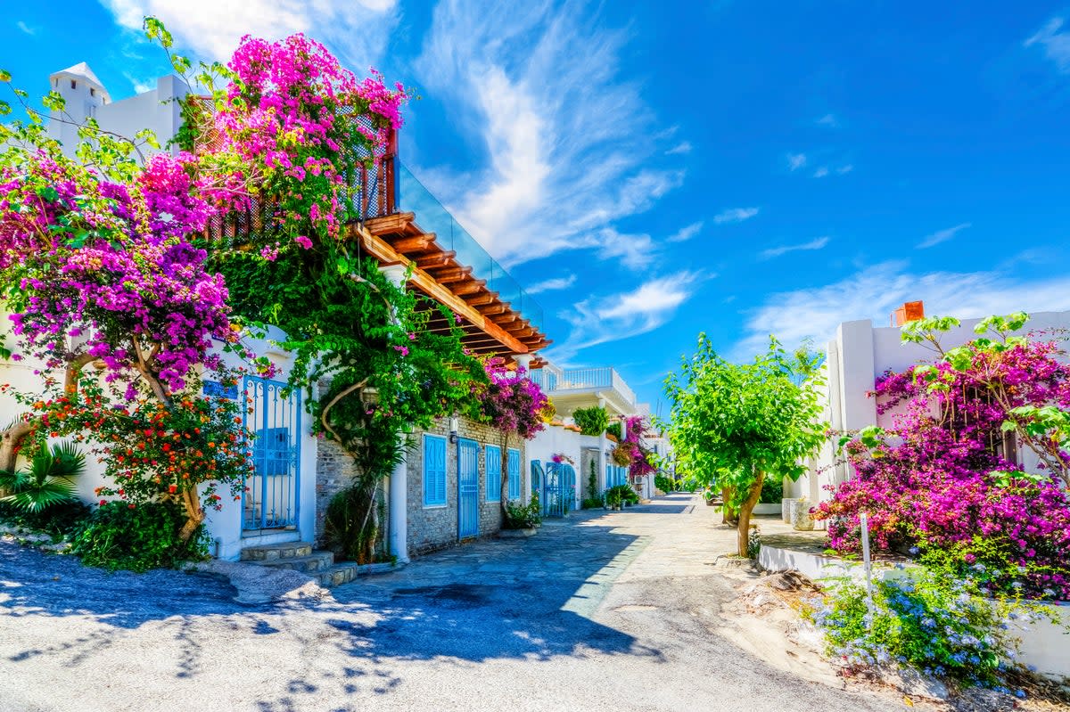 One of Bodrum’s colourful streets (Getty Images)