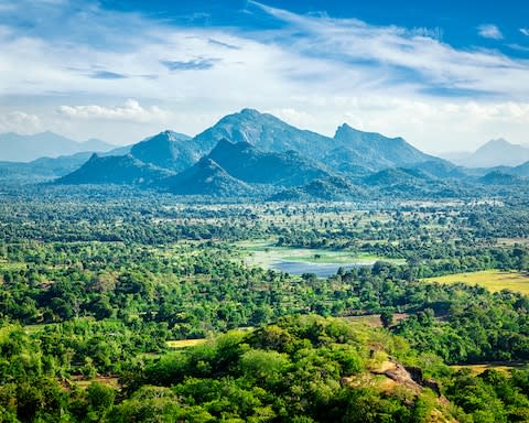 The lush country landscape of Sri Lanka - Credit: © 2009 Dmitry Rukhlenko/Dmitry Rukhlenko