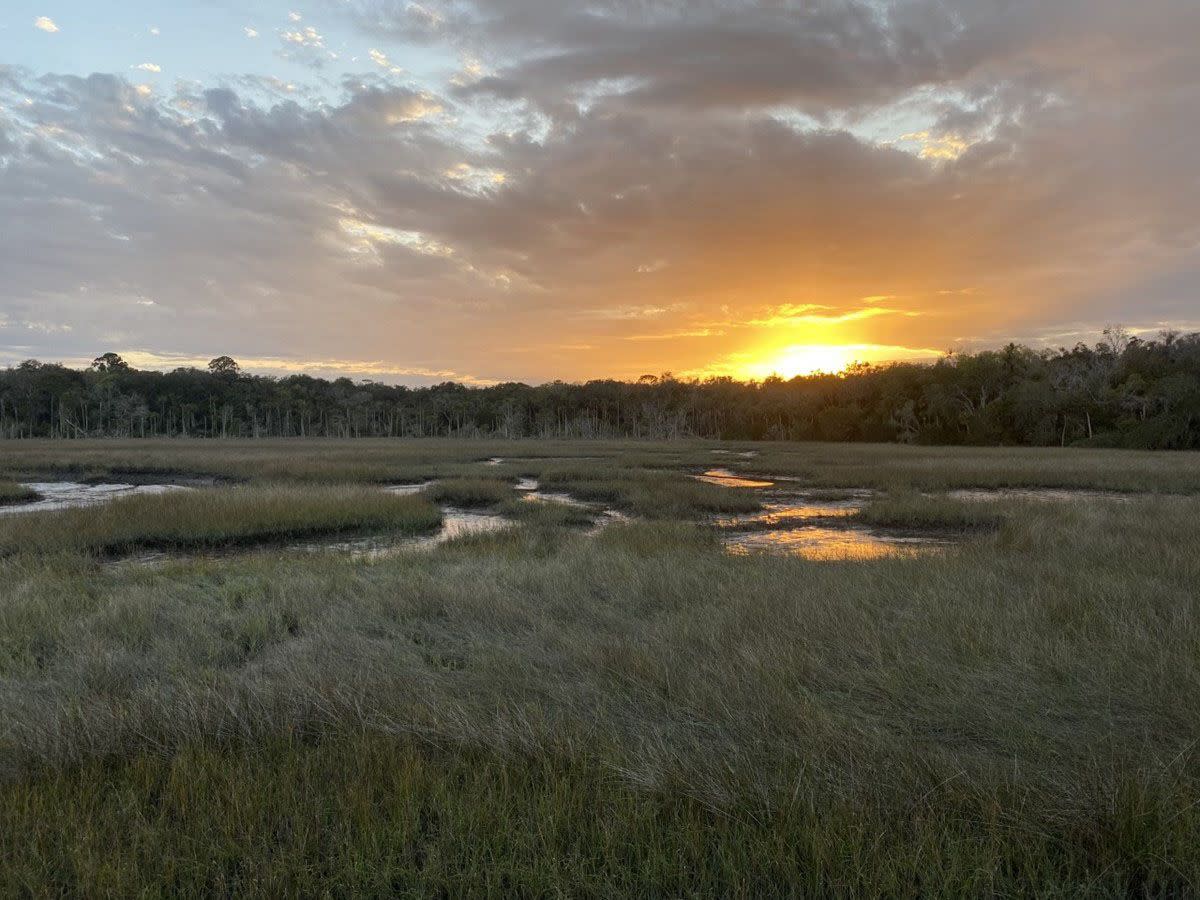 Timucuan Ecological and Historic Preserve