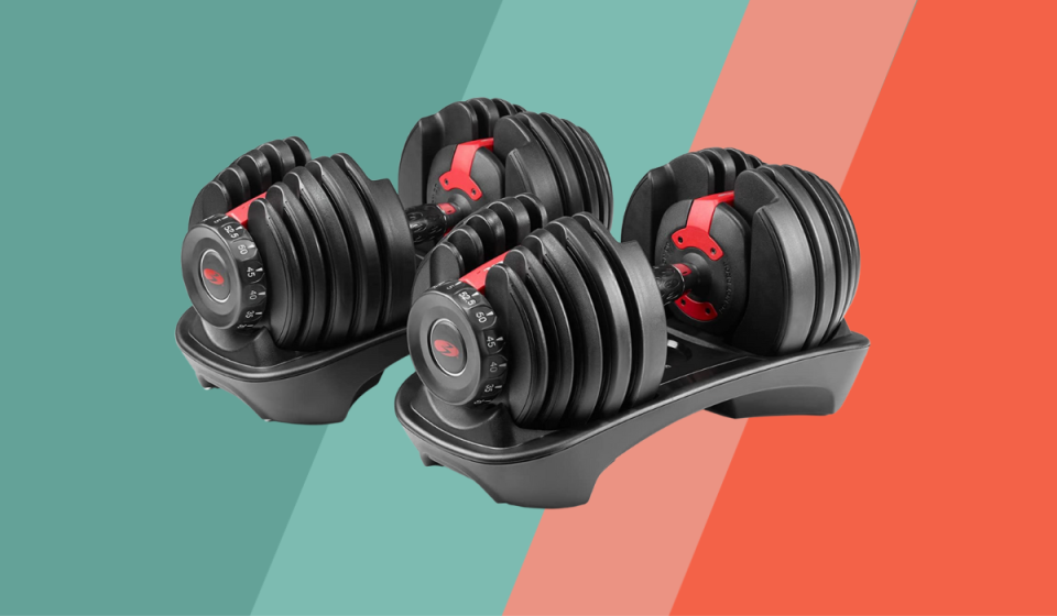 Bowflex Adjustable Dumbbells