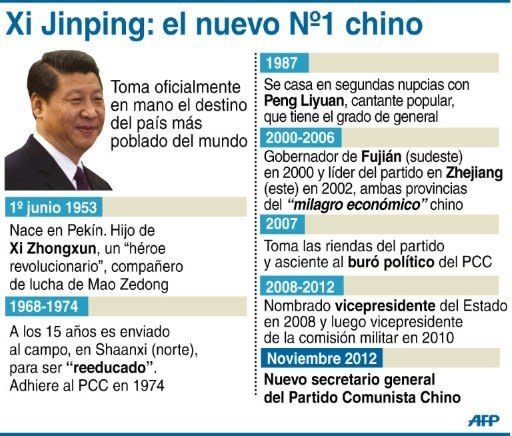 Biografía de Xi Jinping (90 x 73 mm) (AFP | hkg/dp)