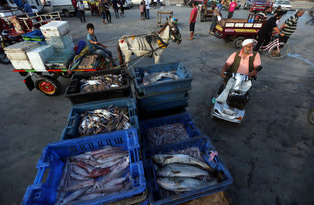 Boxes containing fish are displayed for sale at a market in Gaza City August 15, 2018. REUTERS/Ibraheem Abu Mustafa