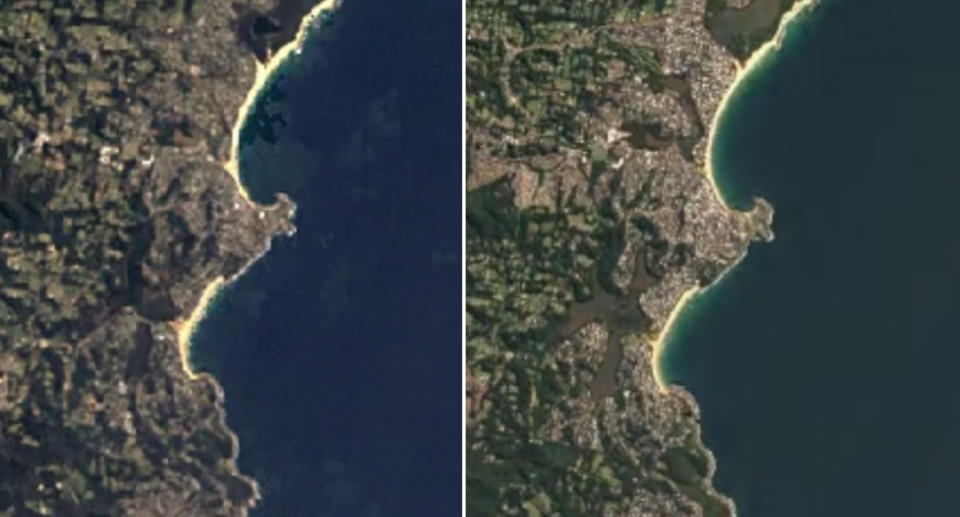 Google Earth Timelapse shows the coast in Wamberal in 1984 (left) compared to 2020 (right). Source: Google Earth