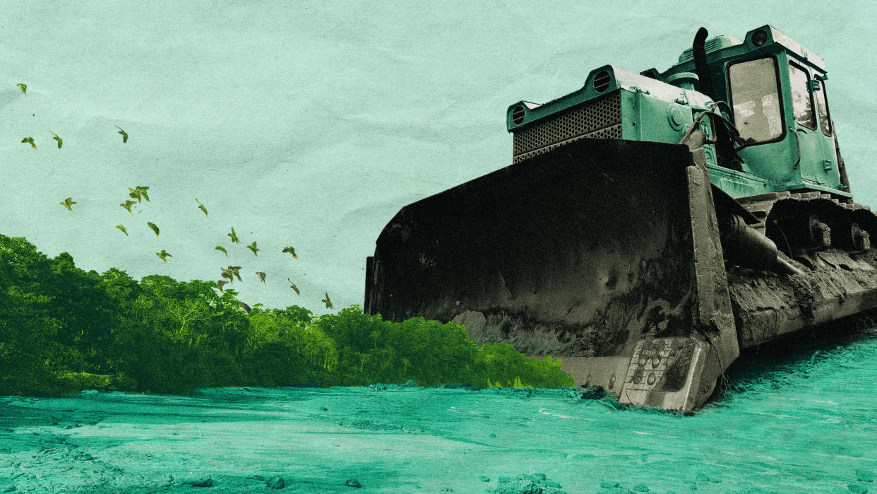  Photo collage of Nicobar Island rainforest being destroyed by a comically huge bulldozer. 