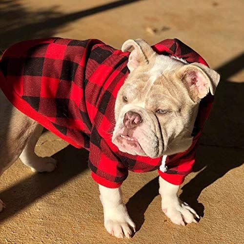 Plaid Dog Hoodie