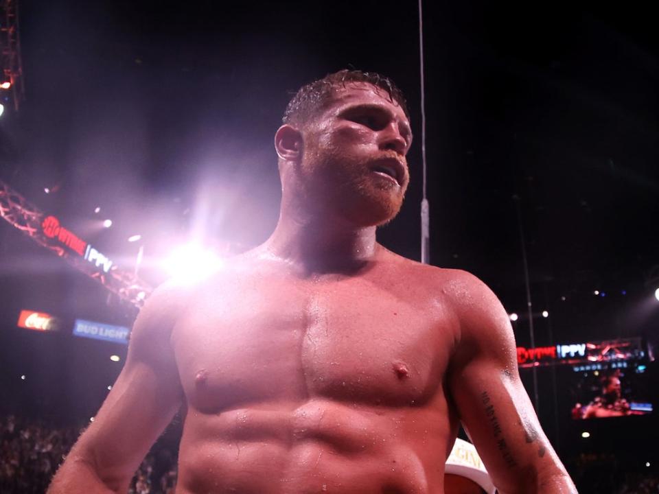 Saul ‘Canelo’ Alvarez is returning to light-heavyweight in pursuit of another title  (Getty Images)