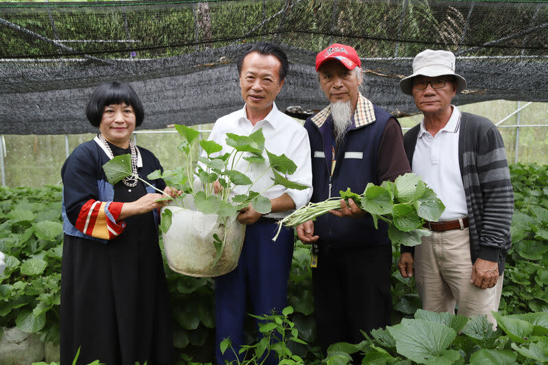 翁章梁到阿里山關心山葵復育情形 嘉義縣長翁章梁（左2）日前前往阿里山的山葵種植 地，關心山葵復育情形；他表示，山葵要推廣到部落 不涉及危害水土保持的地方種植，讓山葵繼續成為阿 里山象徵。 （嘉義縣政府提供） 中央社記者蔡智明傳真  113年5月1日 