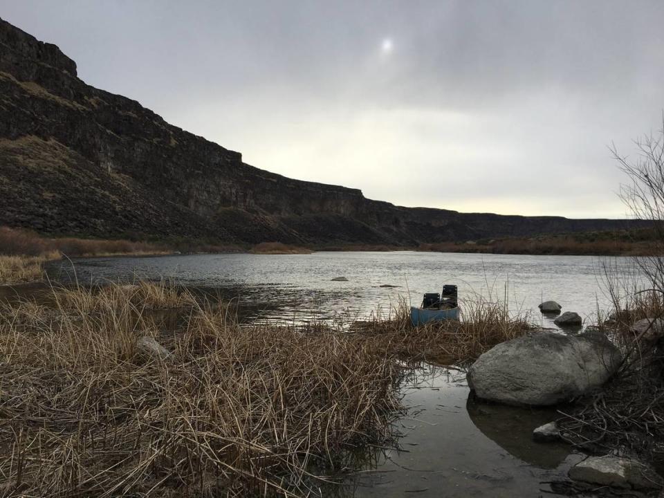 Our canoe sits in a cove of the Snake River just a few miles downriver from the Swan Falls Dam and around the corner from a good-sized set of rapids.