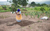 <p>Eine Frau in der südafrikanischen Kleinstadt KwaNdengezi arbeitet in einem Gemüsegarten ihrer Gemeinde. (Bild: Reuters) </p>