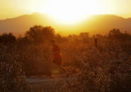 <p>A man runs through the desert at sunrise, June 16, 2017, in Phoenix. (Matt York/AP) </p>