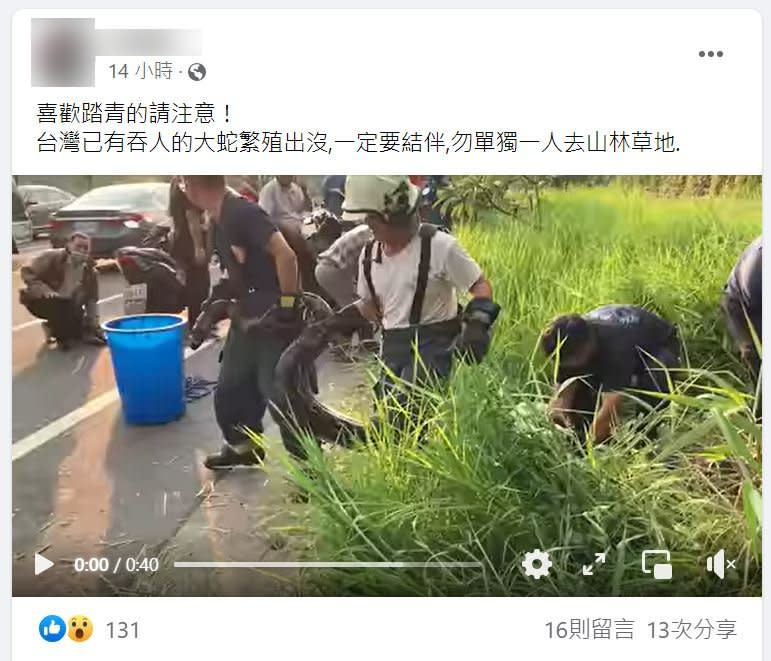 有網友提醒，台灣有大蛇出現，外出踏青要小心。（圖／翻攝自事實查核中心）