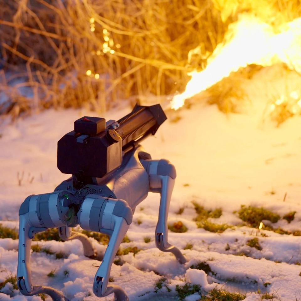 Throwflame say the Thermonator is the first-ever flame-throwing quadruped robot dog. Throwflame / SWNS