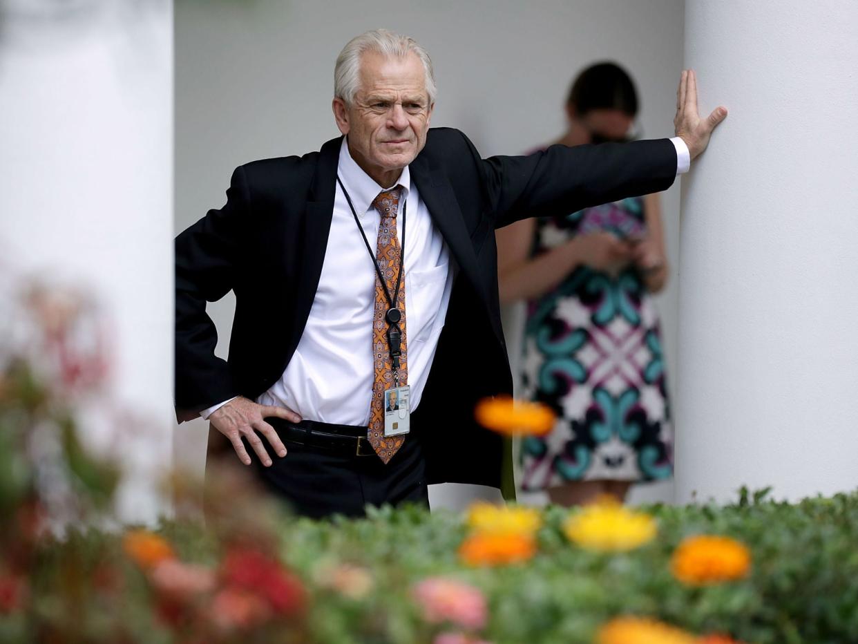 White House National Trade Council Director Peter Navarro: Chip Somodevilla/Getty Images