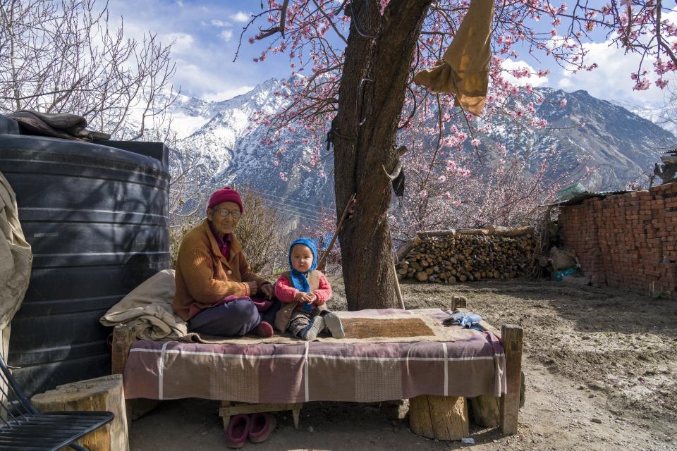 A resident sits with her granddaughter under an almond tree in bloom at her home in Pooh in the Kinnaur district of the Himalayan state of Himachal Pradesh, India, Tuesday, March 14, 2023. Natural water systems have been altered by dams in this region that receives little rainfall, and farmers are struggling to irrigate their orchards. (AP Photo/Ashwini Bhatia)