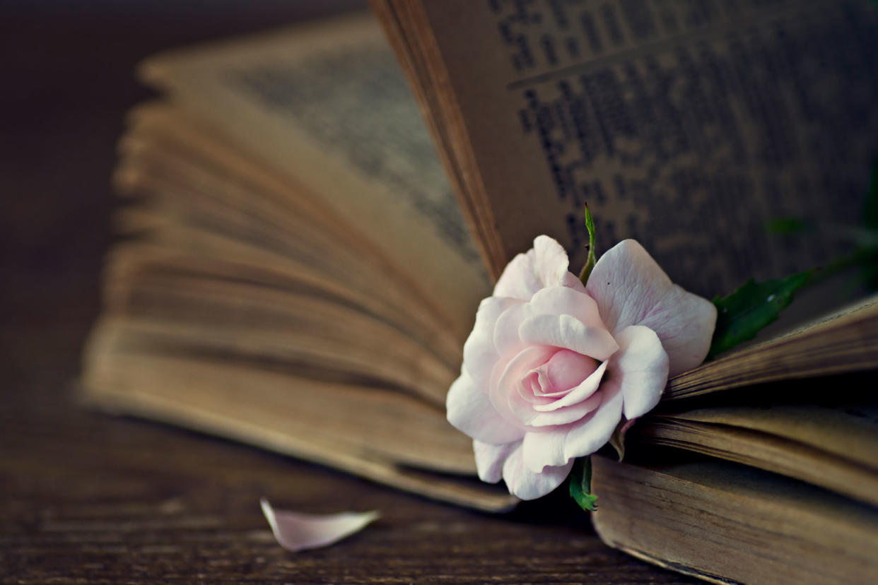 Pink flower inside a book Getty Images/Alicia Llop