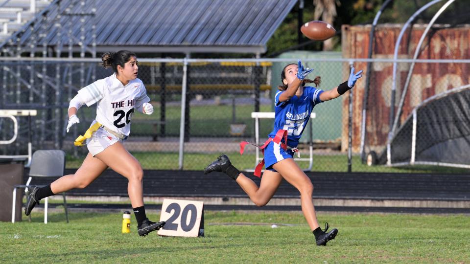 Wellington's Jordan Fernandez extends toward the ball, trying to make a tough catch against Forest Hill during the first half of the team's semifinals matchup against the Falcons Wednesday night. Fernandez caught a touchdown and tallied two interceptions in the win.