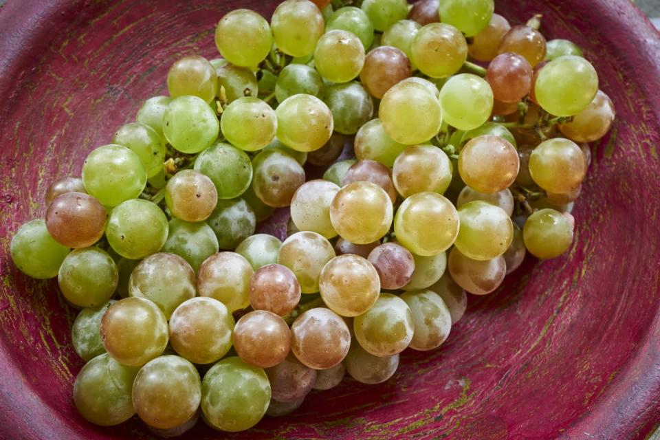 <p>In Spain, it’s tradition to scarf down <a href="http://www.foodrepublic.com/2012/12/28/12-grapes-at-midnight-spains-great-new-years-eve-tradition-and-superstition/" rel="nofollow noopener" target="_blank" data-ylk="slk:12 grapes at midnight" class="link ">12 grapes at midnight</a> — one for each of the clock’s chimes. The custom can be traced to 1909, when a grape surplus in the country’s Alicante region inspired growers to find a way to offload their crop. The idea later spread to Portugal, Venezuela, Cuba, Mexico, Ecuador, and Peru. According to <a href="http://www.epicurious.com/archive/holidays/newyearsday/luckyfoods" rel="nofollow noopener" target="_blank" data-ylk="slk:Epicurious" class="link ">Epicurious</a>, “Each grape represents a different month, so if for instance the third grape is a bit sour, March might be a rocky month.”</p><p><i>(Photo: Stockfood)</i></p>