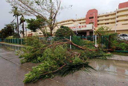 Fallen trees are seen outside of a hotel, after Hurricane Earl hits, in Belize City, Belize August 4, 2016. REUTERS/Henry Romero