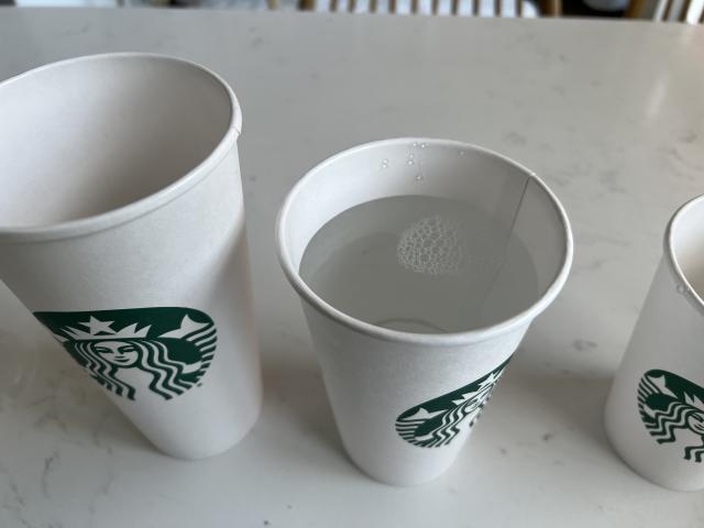 Spill Proof Toddler Starbucks Cup 