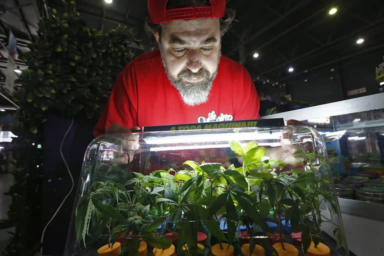 Los aeroclonadores de marihuana son alguna de las propuestas que ofrece la feria