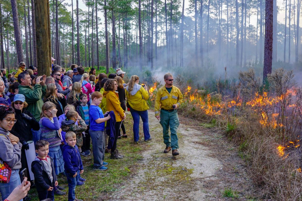 A crowd gathers for the prescribed fire demonstration at the Flatwoods Fire and Nature Festival in Gainesville, Fla.