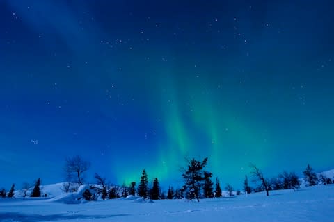 The Northern Lights over Pallas Yllastunturi National Park - Credit: Getty