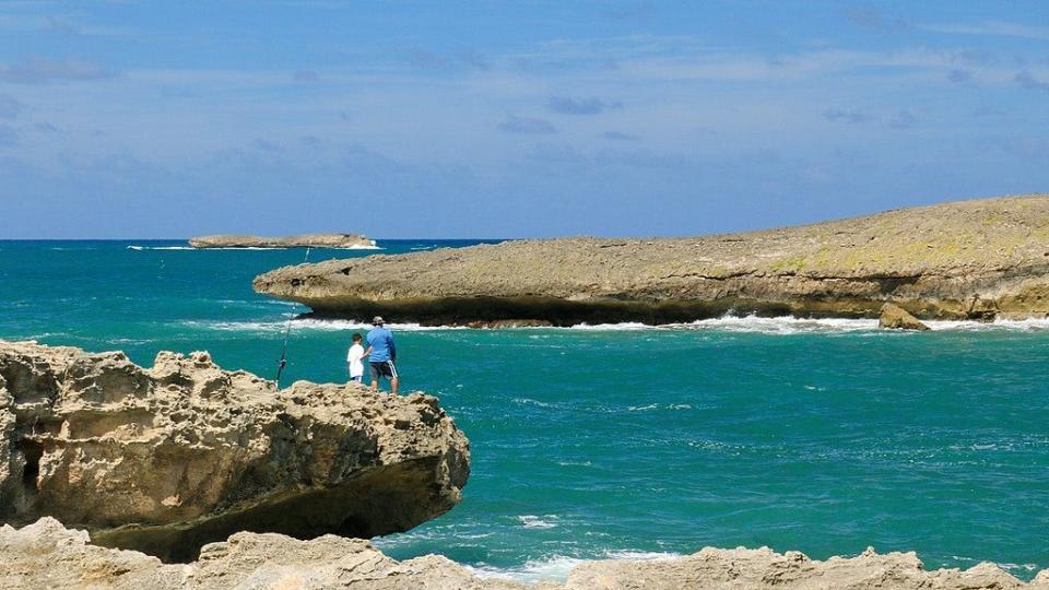 Laie Point State Wayside offers a stunning view of the rugged coastline.