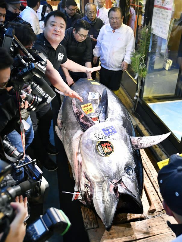 A 276-kilogram bluefin tuna that was auctioned for 193 million Japanese yen (about $1.8 million) is displayed after the first tuna auction of the New Year, a a sushi restaurant in Tokyo