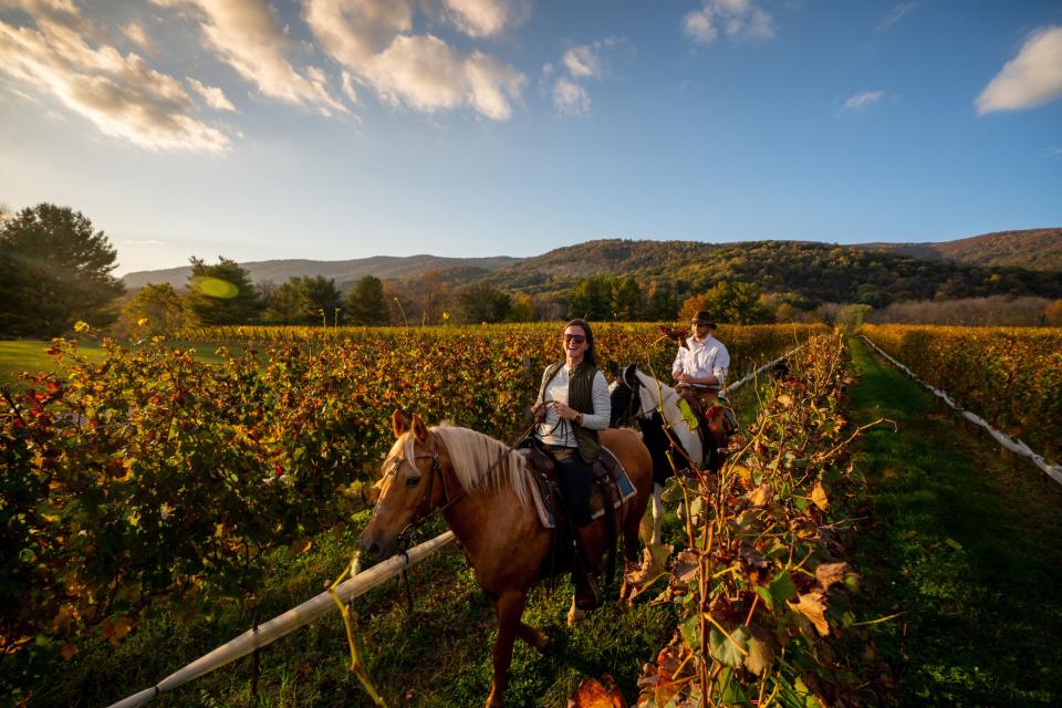 Horseback vineyard tours offer a unique perspective on Virginia wine country.