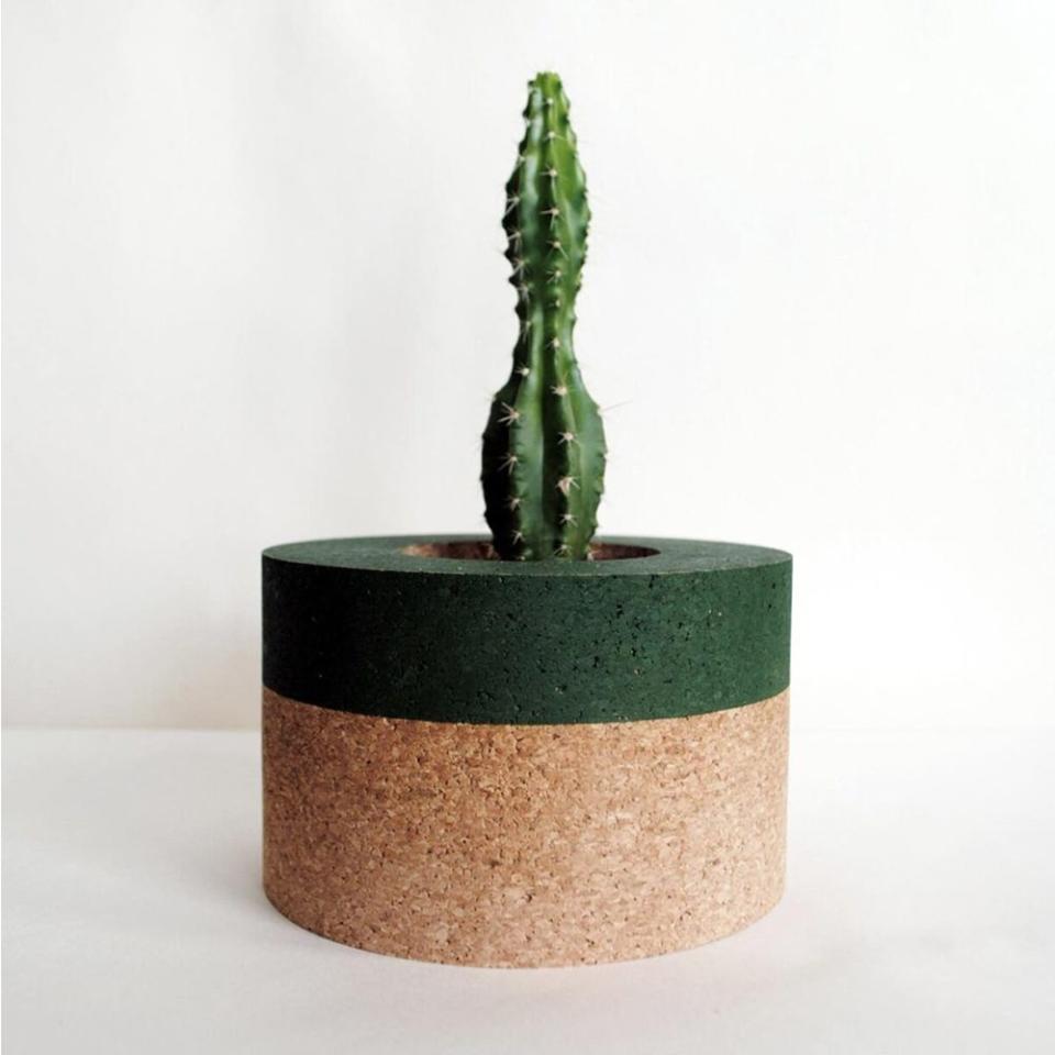 12) Mind The Cork Helki Fern Cork Planter