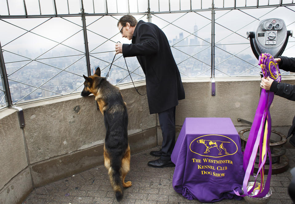 Best In Show Winner visits Empre State Building