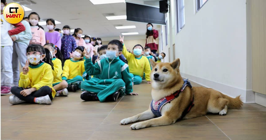 網紅柴犬「小米」近年跟著飼主郭光文全台巡迴演講，所到之處都深受學童歡迎，在各地掀起小米旋風。（圖／方萬民攝）