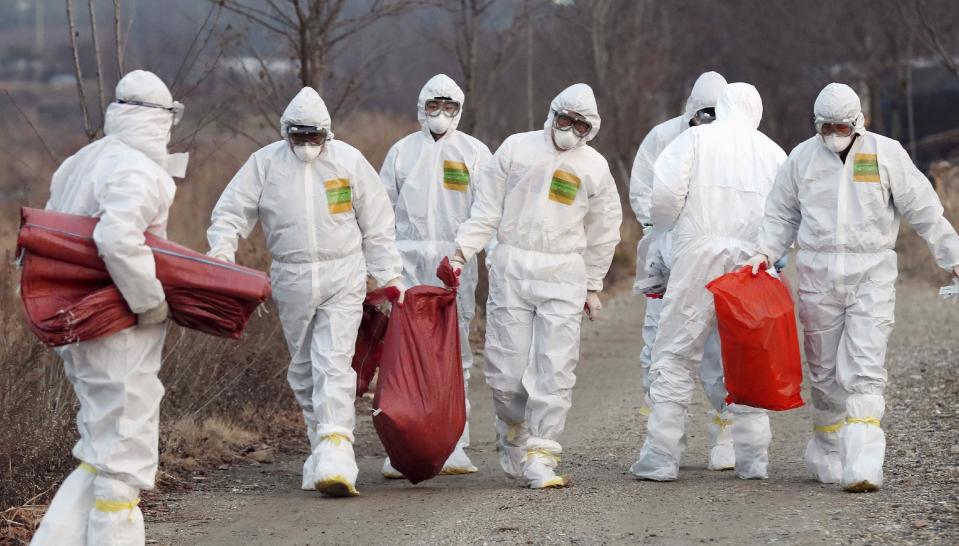 FILE - In this Dec. 26, 2016, file photo, health officials wearing protective suits carry a sack containing killed chickens after they were slaughtered at a chicken farm where a suspected case of bird flu was reported in Incheon, South Korea. The country is the throes of a spreading bird flu outbreak that has caused the death of about a third of its egg-laying flocks and has asked the United States for the first time to ship it shell eggs. (Yun Tae-hyun/Yonhap via AP, File)