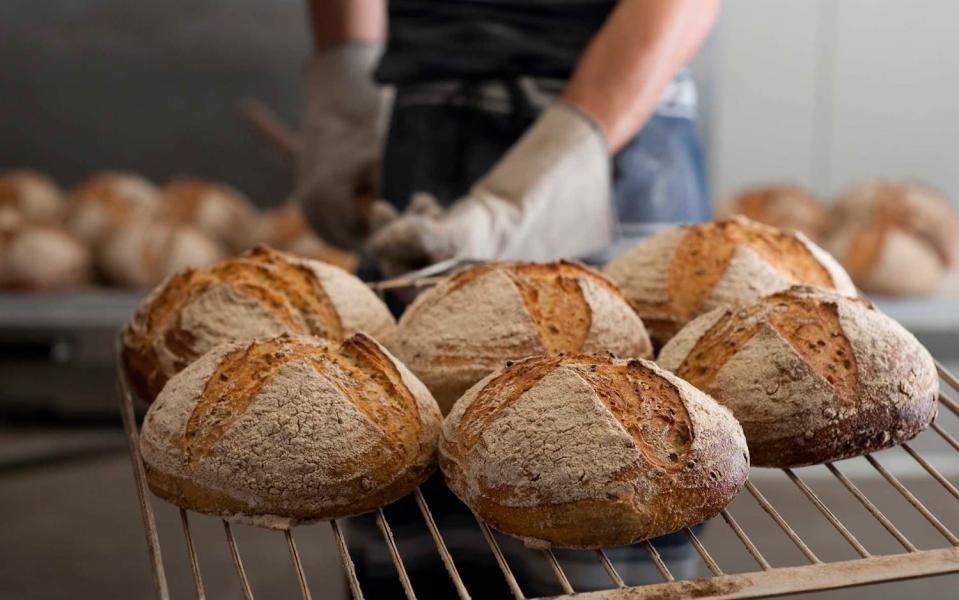 Bourke Street Bakery, Sydney, Australia